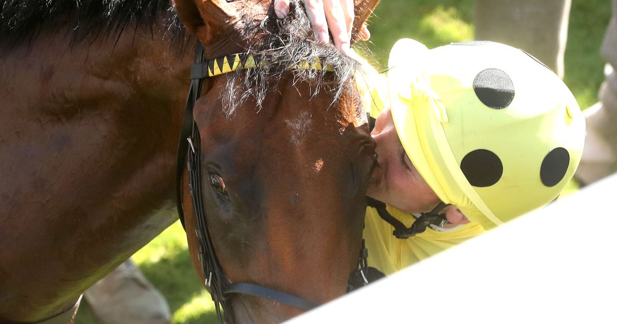 Bow Echo wins thrilling Sussex renewal, is likely for Breeders' Cup