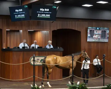 $1.3 million Bolt d’Oro filly leads Day 3 at OBS spring sale