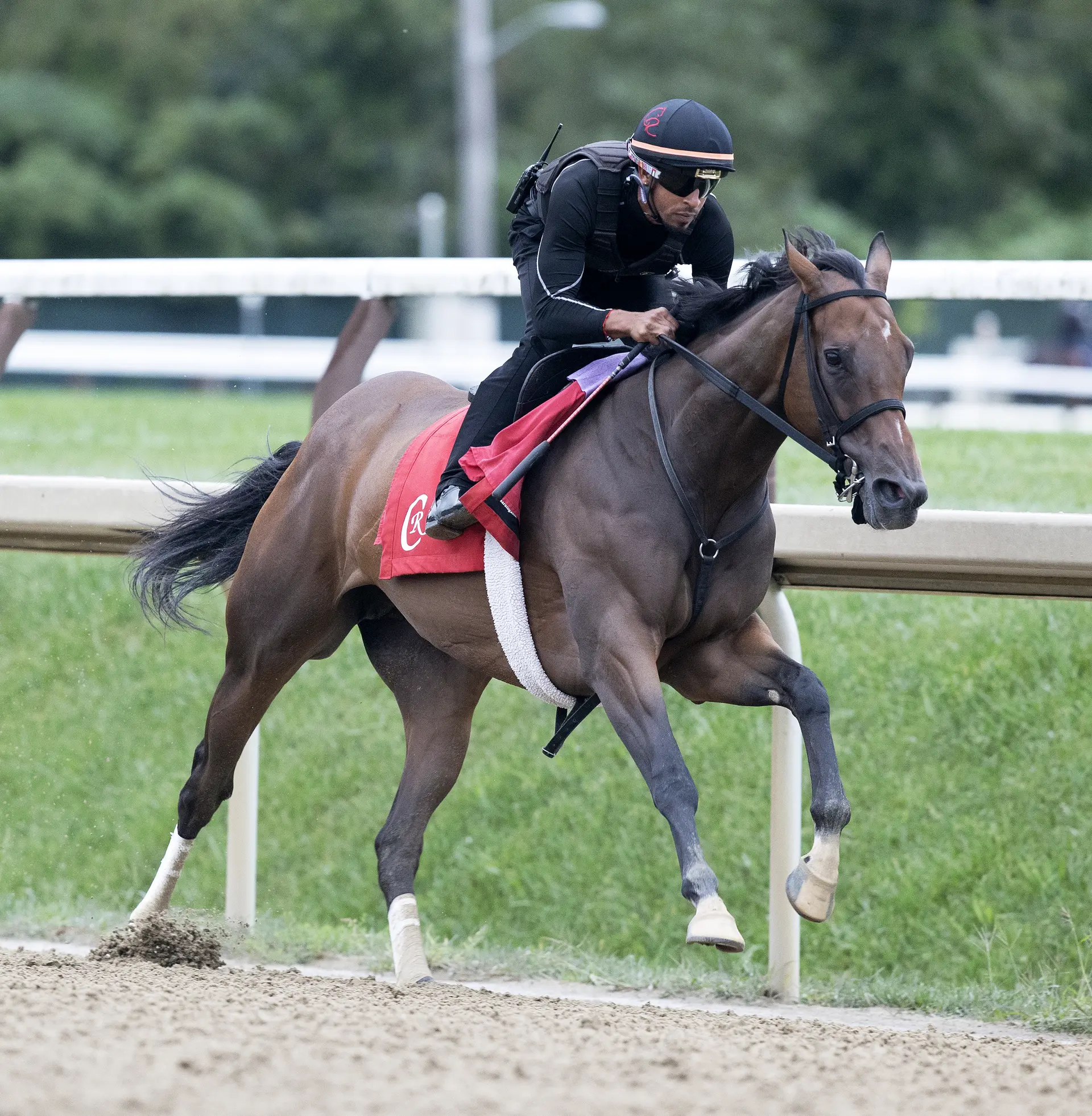 Beldame easy path to Breeders' Cup for Nitrogen