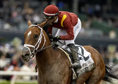 Kentucky Derby Future Wager: Journalism a heavy favorite on morning line for fifth pool