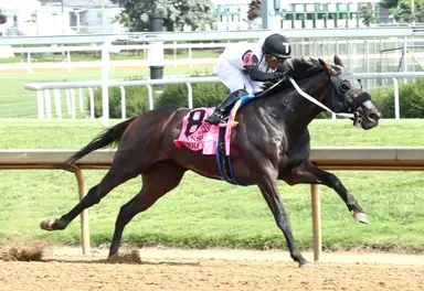 DiVito pointing Nu What's New to Ack Ack, BC Dirt Mile