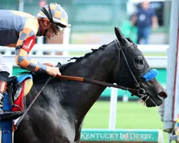 Splendora has no trouble with Locust Grove Stakes