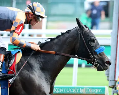 Splendora has no trouble with Locust Grove Stakes