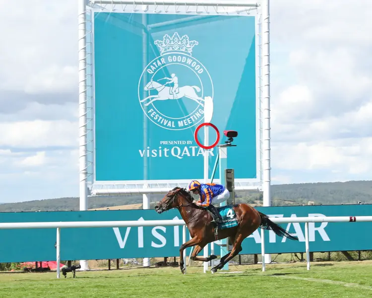Diamond Necklace - Qatar Nassau Stakes Group 1 - Goodwood Racecourse - 073026 - Finish 01 - Renee Torbit