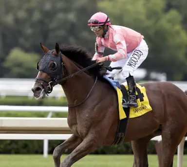 Dornoch's victory in Remsen highlights Puca's productivity