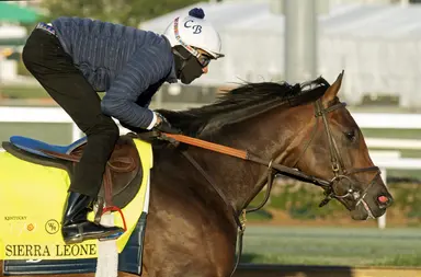 Kentucky Derby: Fierceness, Sierra Leone arrive at Churchill