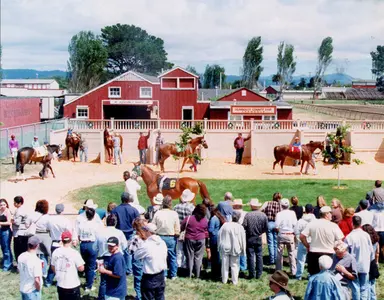 Race dates proposed for three Northern California venues