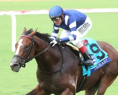 Weekend GamePlan: Picks for City of Hope Mile, John Henry Turf Championship, Pilgrim