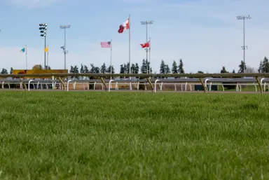 Woodbine’s main turf course to reopen on Aug. 8