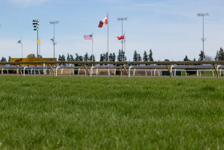 Woodbine Scenic11.04-26-26.JUW