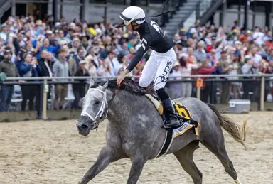 Lukas leaning toward running Seize the Grey in Belmont Stakes