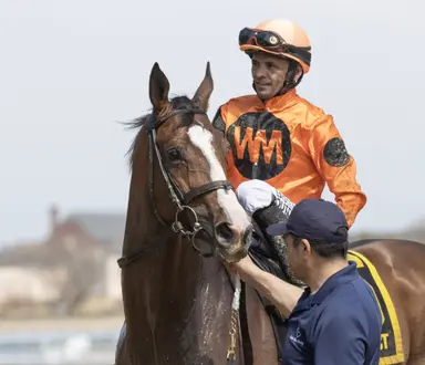 Yo Daddy pointed toward Pimlico Special off Excelsior win