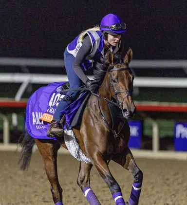Cathedral will stay in U.S. after Diana with sights set on Breeders' Cup