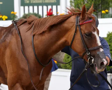 Rain could impact three turf stakes