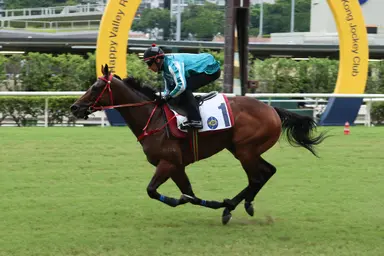 Romantic Warrior limbers up with easy Happy Valley trial win