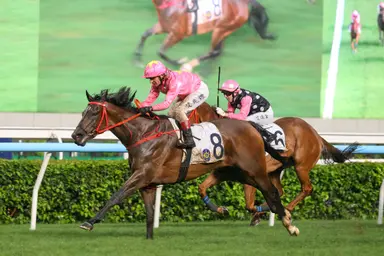 Sky Jewellery and Patch Of Stars bid to continue rise in Group 3 features