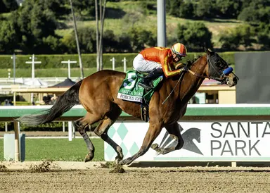 Baffert, Hernandez wrap up great weekend as Forced Entry takes Santa Ysabel