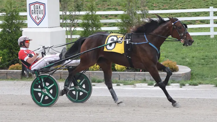 Whiskey Wow 5-25-26