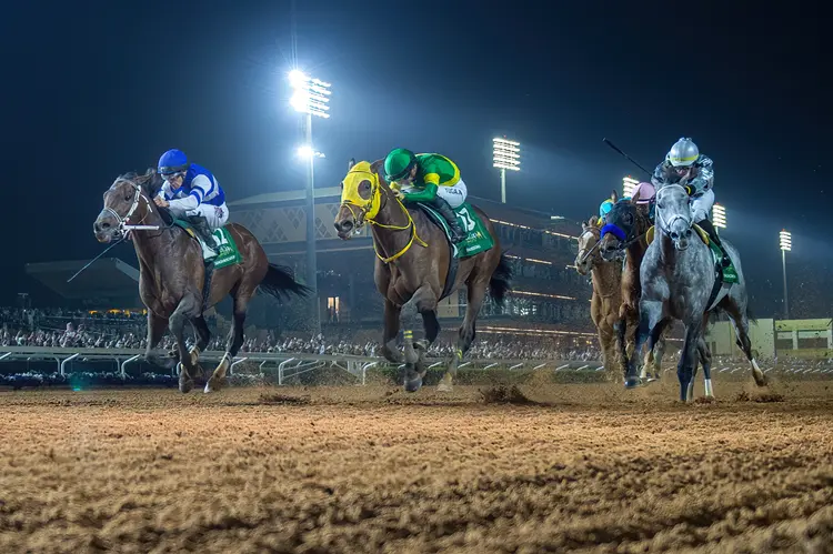 RS21660_2-24-24 Senor Buscador6 G1 Saudi Cup___Mathea Kelley-.jpg