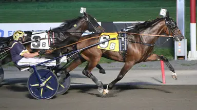 Meadowlands:  Second leg of Kindergarten Series held