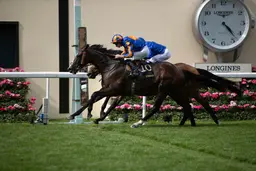 Royal Ascot 2026: Scandinavia lands O'Brien his 100th win in Gold Cup