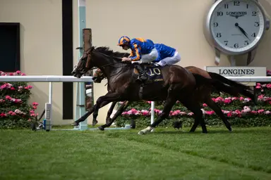 Royal Ascot 2026: Scandinavia lands O'Brien his 100th win in Gold Cup