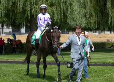 Minshall pair looks strong in Display Stakes