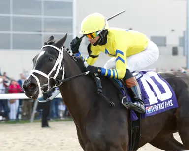 Keeneland April: Dana's Beauty, Cheval de Guerre sell for $450,000 to lead horses of racing age sale