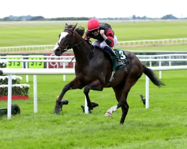 Arc undercard features five Breeders' Cup Challenge races