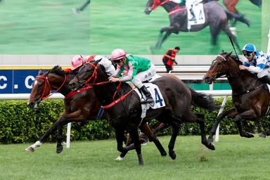 Bundle Award claims G3 Queen Mother Memorial Cup Handicap