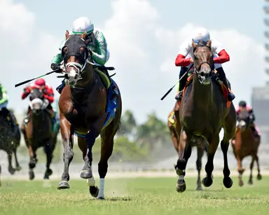 Sabian shows promise after solid debut on turf