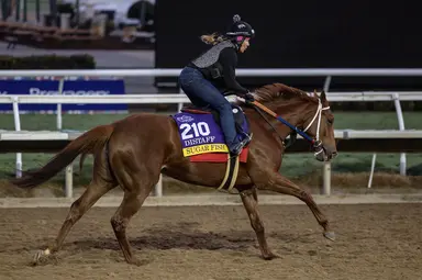 Brad Free's Santa Anita Horses to Watch for week of Dec. 26-29, 2024
