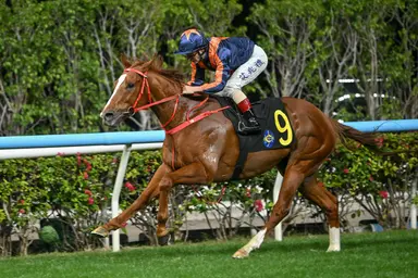 Amazing Kid aims to extend remarkable run at Happy Valley