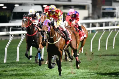 Declan Schuster's Hong Kong Selections and Analysis for Wednesday, June 26, 2024