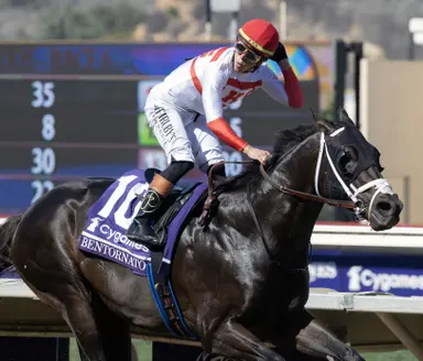 Bentornato, Shisospicy to head to Kentucky as D'Angelo plots next starts