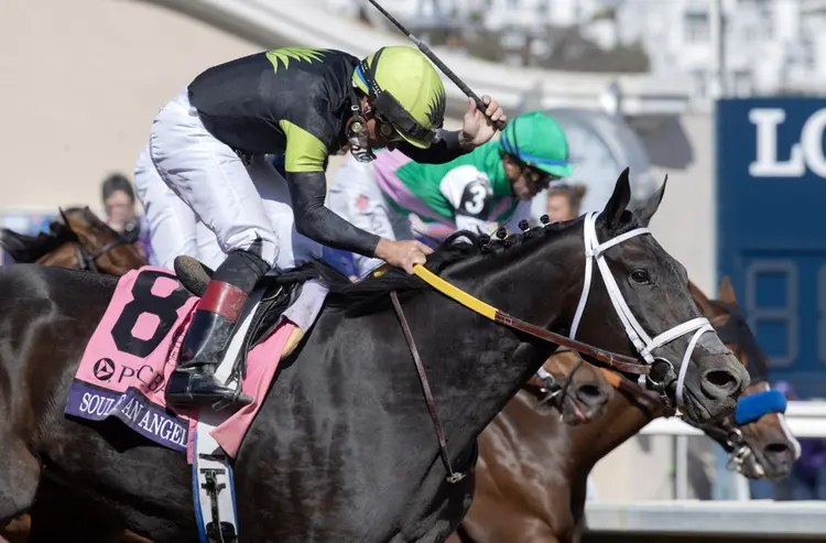 Eclipse Awards Soul of an Angel