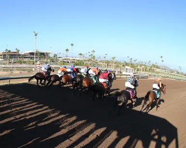 DRF's Horse Racing Playbook for Thursday, January 15