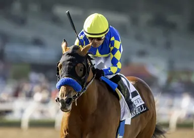 Kentucky Derby pedigree profile: Citizen Bull