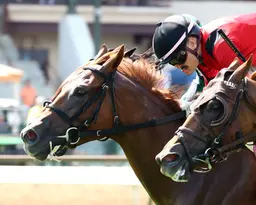 Triskelion catches Beach Heist in Pea Patch Stakes