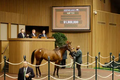 Keeneland September sale: Book 2 opens with continued momentum and $1.9 million topper