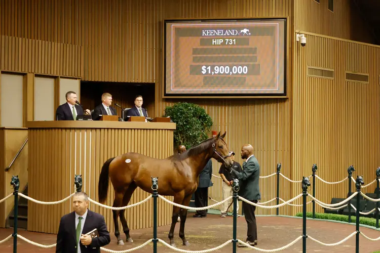 Keeneland September Hip 731.02.9.10.25.KEE_.jpg