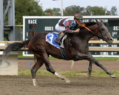 San Siro ends stakes-victory drought, takes Greenwood Cup