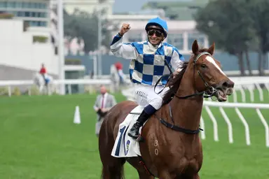 Hayes and Teetan combine with Storm Rider to land New Year’s Day Group 3 feature