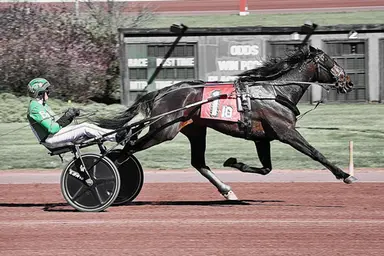 Pocono:  Dilly Hanover delivers in Monday's Weiss Series final