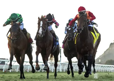 Brad Free: Del Mar Horses to Watch for week of Nov. 27, 2023