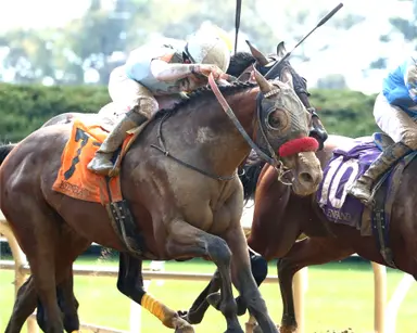Belmont 2026: Vitruvian Man joins cast, brings probable field to 10