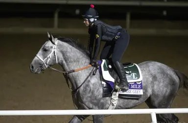 National Treasure, Seize the Grey officially retired
