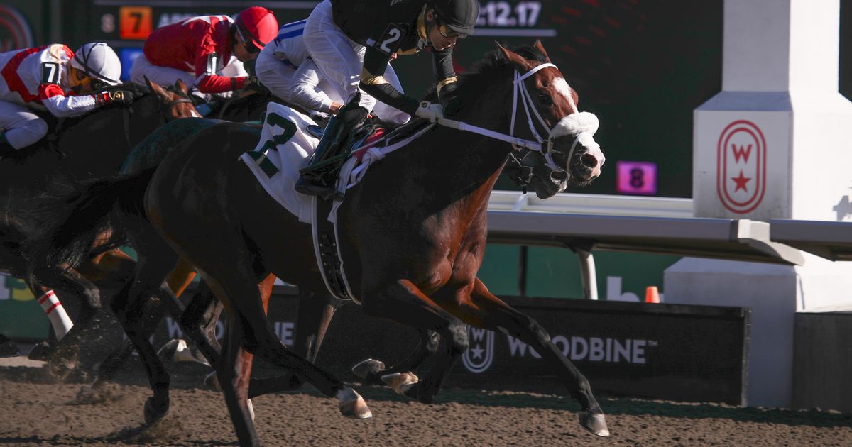 Pepper Brooks looks to stay perfect in sprint