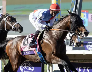 Intriguing pair of stakes highlight card