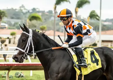 Mullins will train undefeated Vanta up to Breeders' Cup Juvenile Fillies Turf